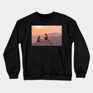 Hampi temple monkeys, India Crewneck Sweatshirt